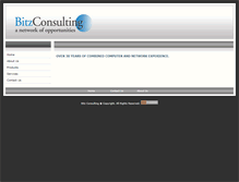 Tablet Screenshot of bitzconsulting.com